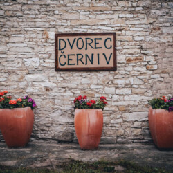 Dvorec Černiv